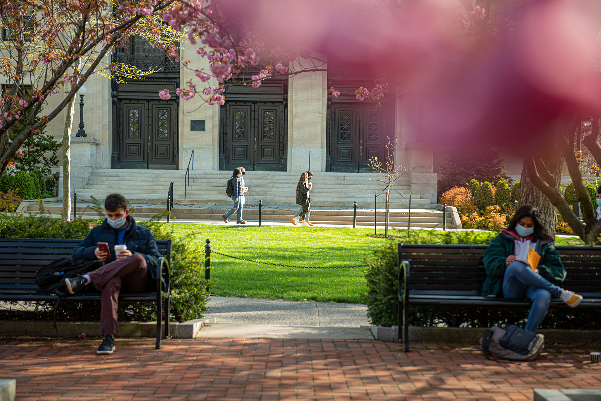 Soft focus pink and purple blurs from blooming flowers frame the top of an image of students sitting on benches. The students are wearing masks and reading. A brick walkway is in the foreground, a series of three double-doors on a tan stone building is in the background.